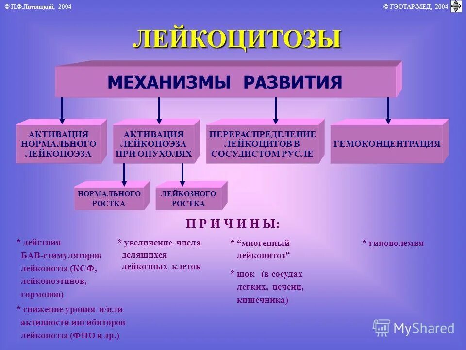 Механизм развития лейкоцитоза. Виды лейкоцитозов. Причины и механизмы развития лейкоцитозов. Перераспределение лейкоцитов в сосудистом русле.