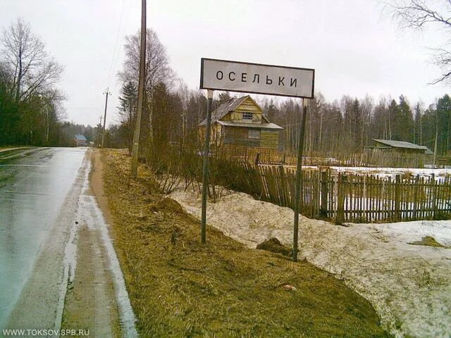 токсово осельки
