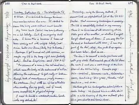 Diary entry перевод