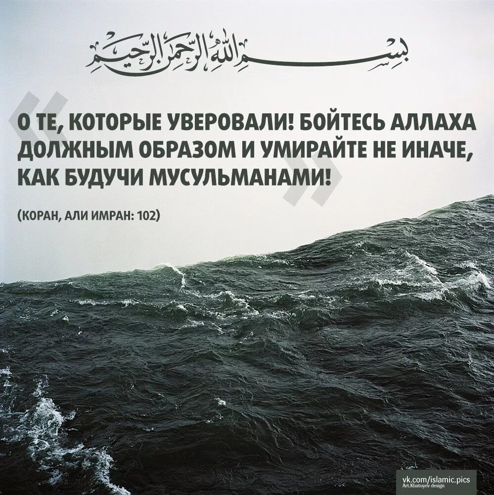 Бойтесь всевышнего. О те которые уверовали бойтесь Аллаха. Мусульманские афоризмы. Мусульманские цитаты. Исламские цитаты.