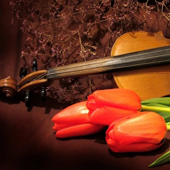 музыкальные инструменты и цветы. цветы в искусстве. скрипка с цветами. музыкальные инструменты цветы. натюрморт с музыкальными инструментами.