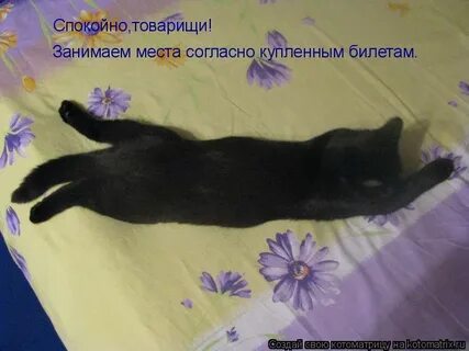 Спокойно товарищ спокойно
