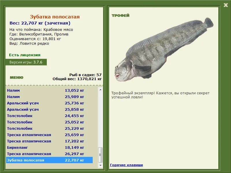 Пятнистая зубатка. Зубатка отзывы. Зубатка вес одной рыбы. Пятнистая зубатка. Угревидная зубатка.