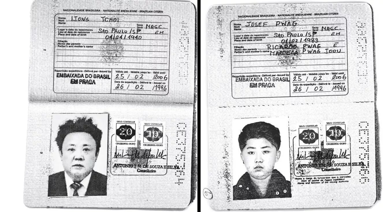 Id card корея. Виза в северную корею. Гражданство кореи. Виза кндр. Id card корея.
