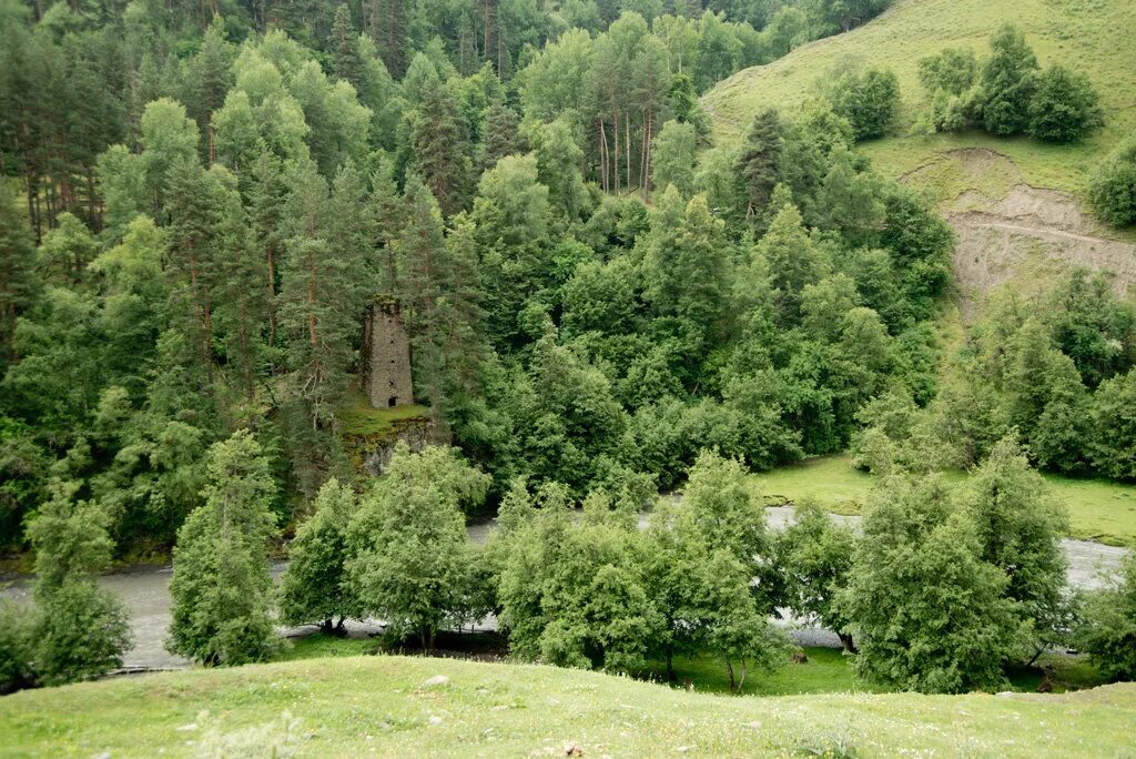 горы поросшие лесами. лесистые скалы норботтена. горная ландшафты на северном кавказе. горы поросшие лесами. горные широколиственные леса кавказа.