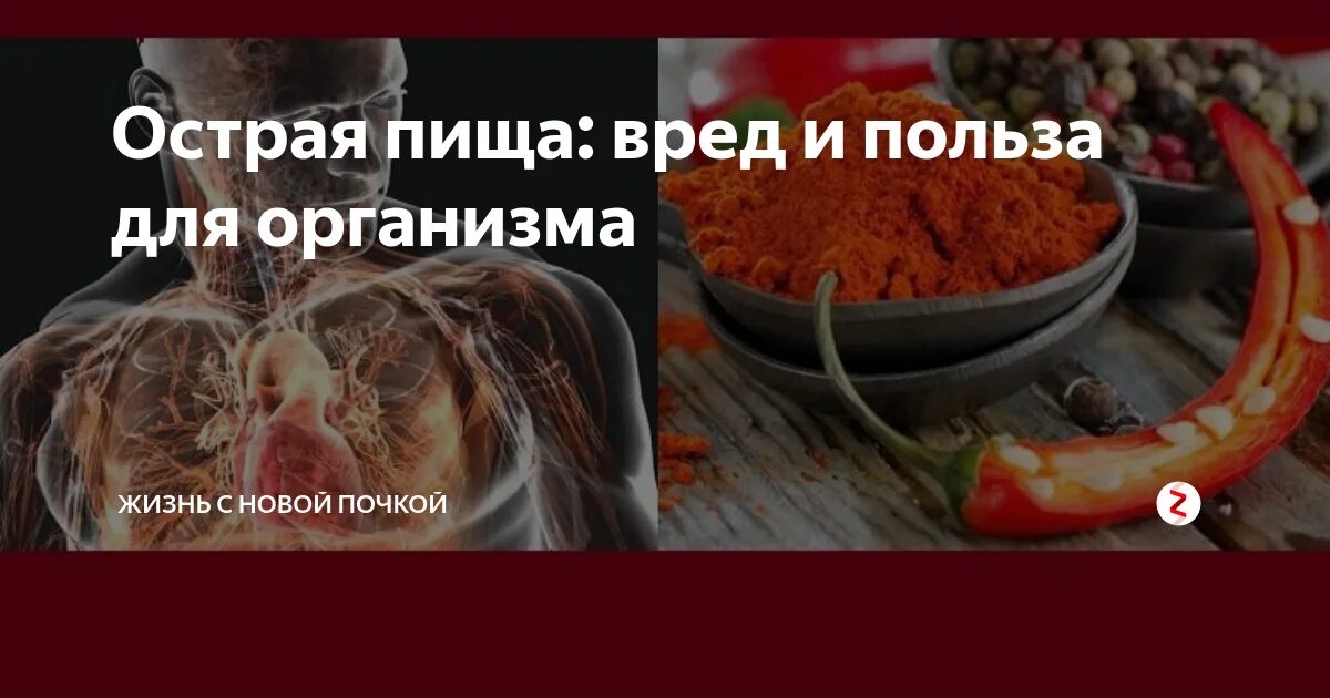 Польза острого для мужчин. Польза острой пищи. Острая еда польза. Чем полезна острая пища. Острая пища польза и вред для организма.