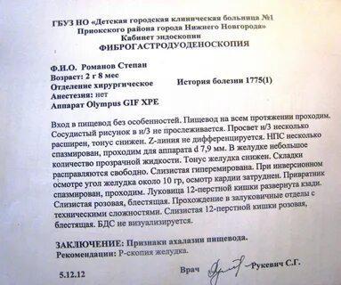 Заключение фгдс