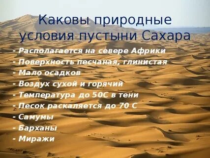 Особенности пустыни африки