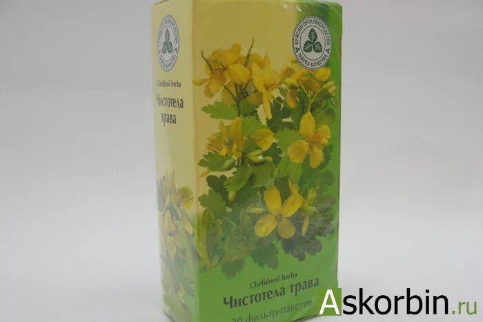 Чистотел трава аптека. Чистотел трава ф/п №20. Чистотел трава ф/п 1,5г №20. Здоровье трава чистотела большого ф/п 1,5 г №20. Трава чистотела в фильтр-пакетах.