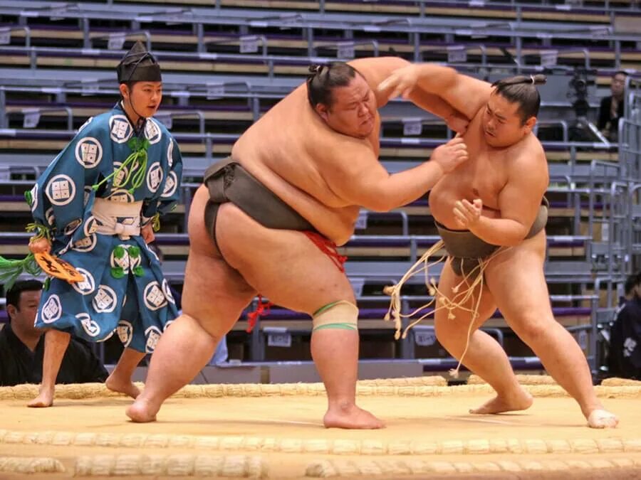 2 sumo. 2 sumo