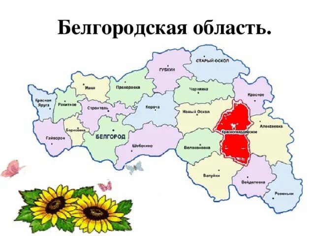 Карта волоконовского района белгородской. Карта Белгород обл по районам. Карта Белгородской области по районам. Карта Белгорода и Белгородской области. Карта Белгородской области с городами.