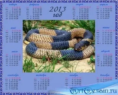 Год змеи 2025 для кабана