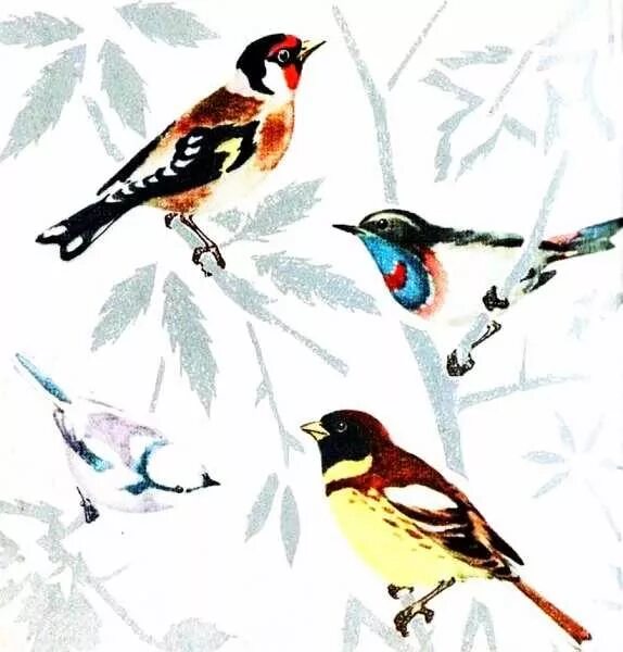 Читать певчие птицы. Книга певчие птицы никонов. книга николая никонова &quot;певчие птицы&quot;.