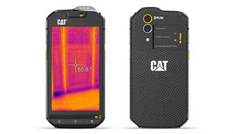 Cat s