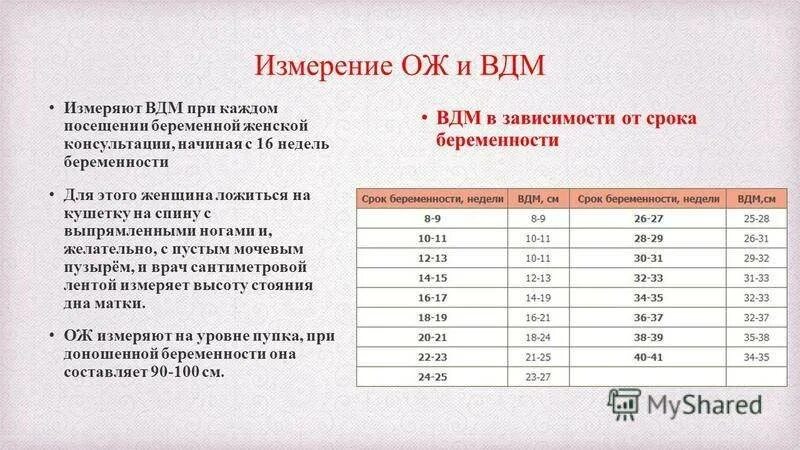 Матка на 21 неделе беременности. ВДМ при беременности 35 недель норма. Высота стояния дна матки на 20 неделе беременности. Высота стояния дна матки по неделям беременности. Срок беременности по высоте стояния дна матки и окружности живота.