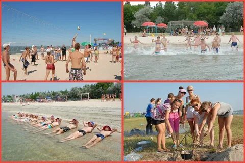 Лагерь гвоздика бердянск