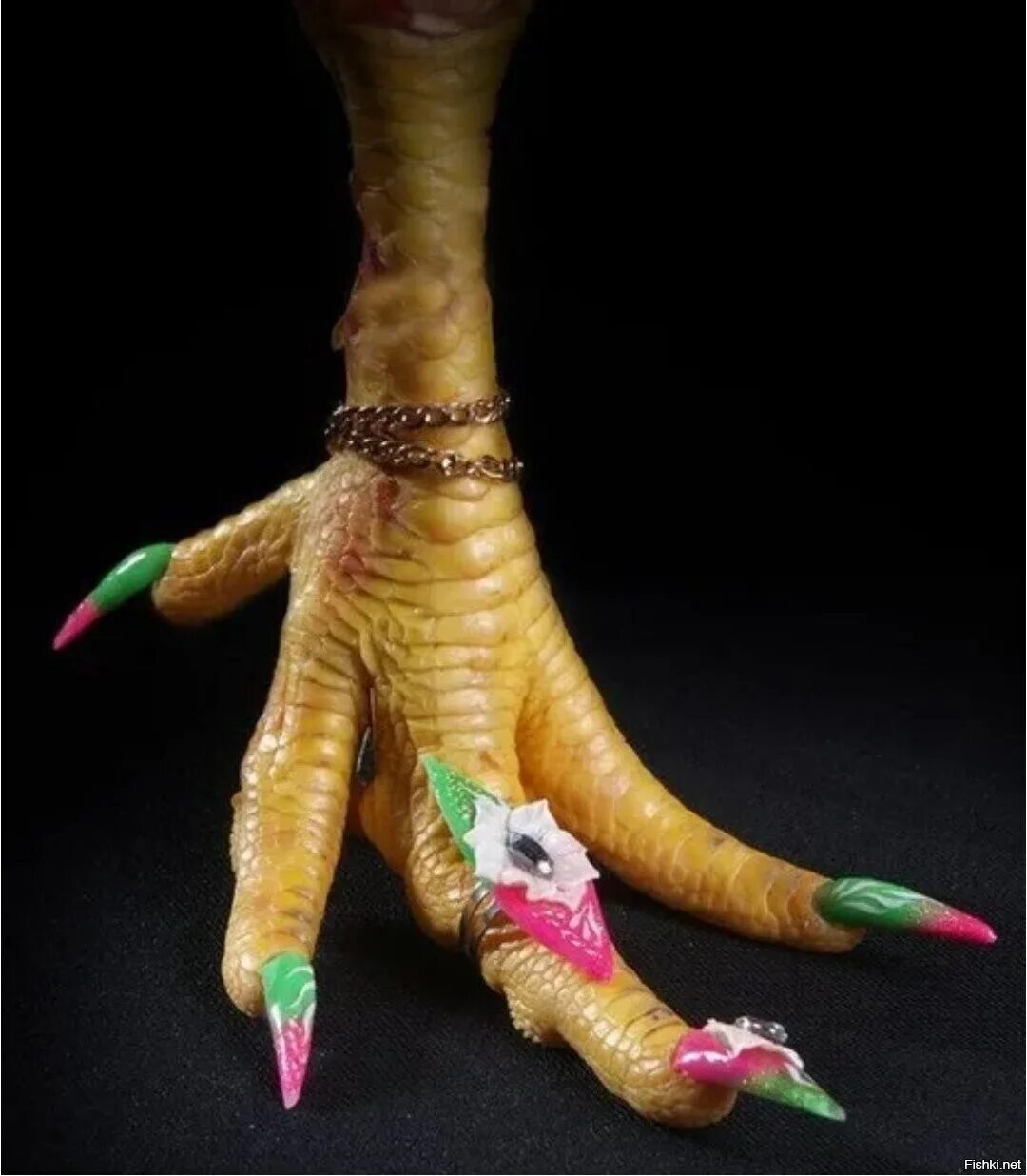 Куриная ножка мем. Куриная нога с накрашенными ногтями. Куриная лапка с накрашенными ногтями.