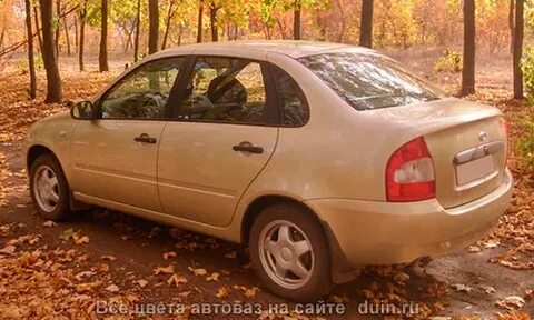 502 дыня