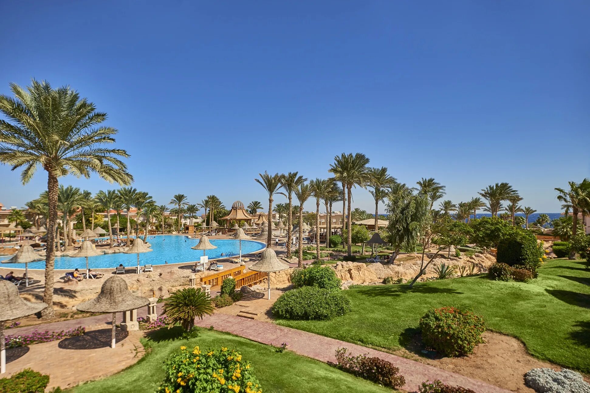 Parrotel lagoon resort египет шарм эль шейх. Рэдиссон шарм-эль-шейх. египет шарм-эль-шейх парротель. паротель бич резорт шарм-эль-шейх 5. египет рэдиссон.