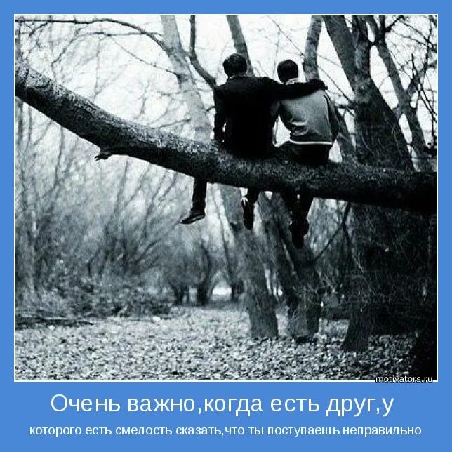 настоящие друзья. высказывания о поддержке в трудную минуту. друзья это важно. забавные друзья. красивые высказывания про друзей.