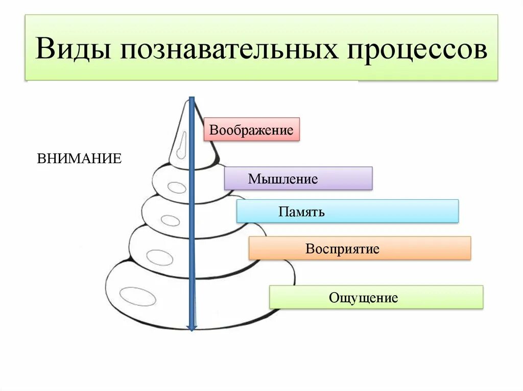 Ощущения память мышление воображение восприятие. Познавательные процессы: восприятие, внимание, память, мышление. Понятие Познавательные процессы. Виды когнитивных процессов. Позноваельные процесс.