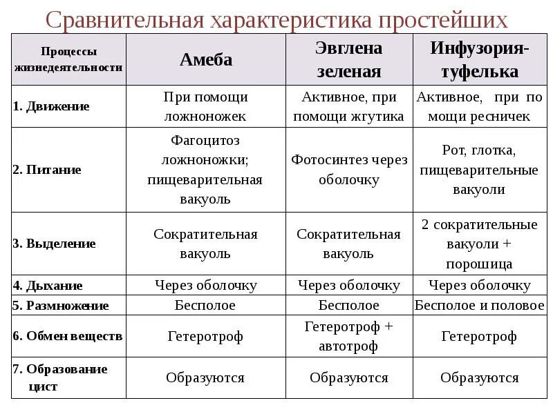 Сравнение простейших таблица биология 7 класс. Сравнение классов простейших таблица. Сравнительная характеристика простейших таблица. Таблица характеристика простейших 7 класс. Значение групп простейших