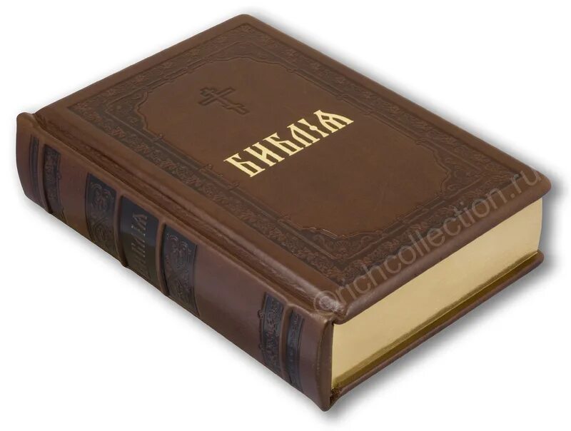 глава священного писания. глава священного писания. библия. священное писание. протестантская библия.