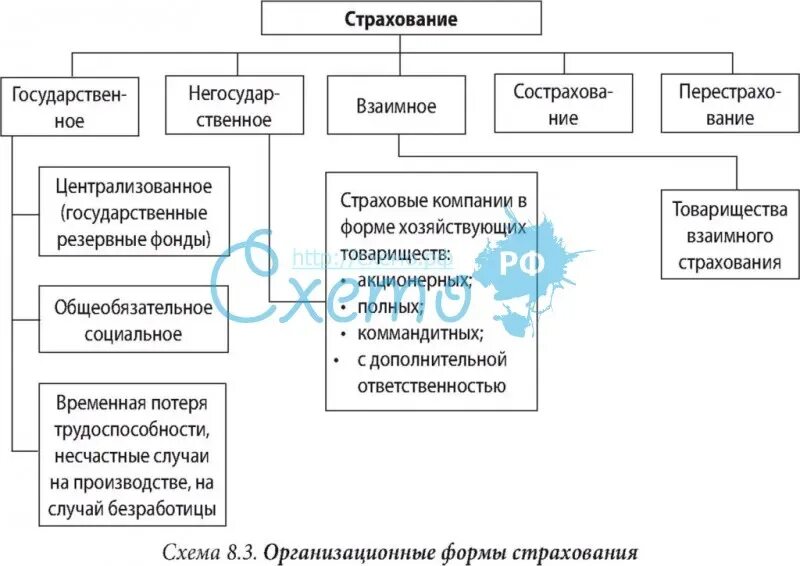 Организационно правовые формы социального страхования. Организационные формы страхования. Организационные формы страховой деятельности. Государственное страхование схема. Социальное страхование схема.