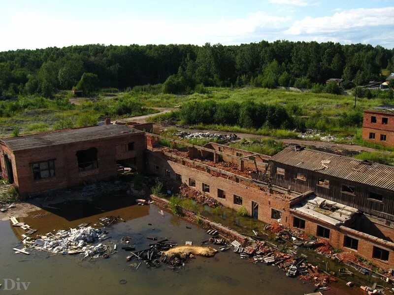 ломоносов заводы