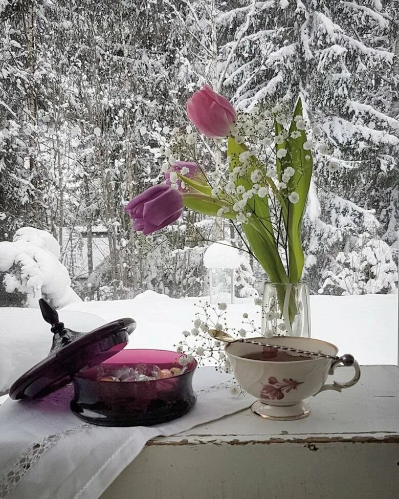 Доброе Снежное утро. Зимние цветы. Доброе морозное утро. Цветы зимой.