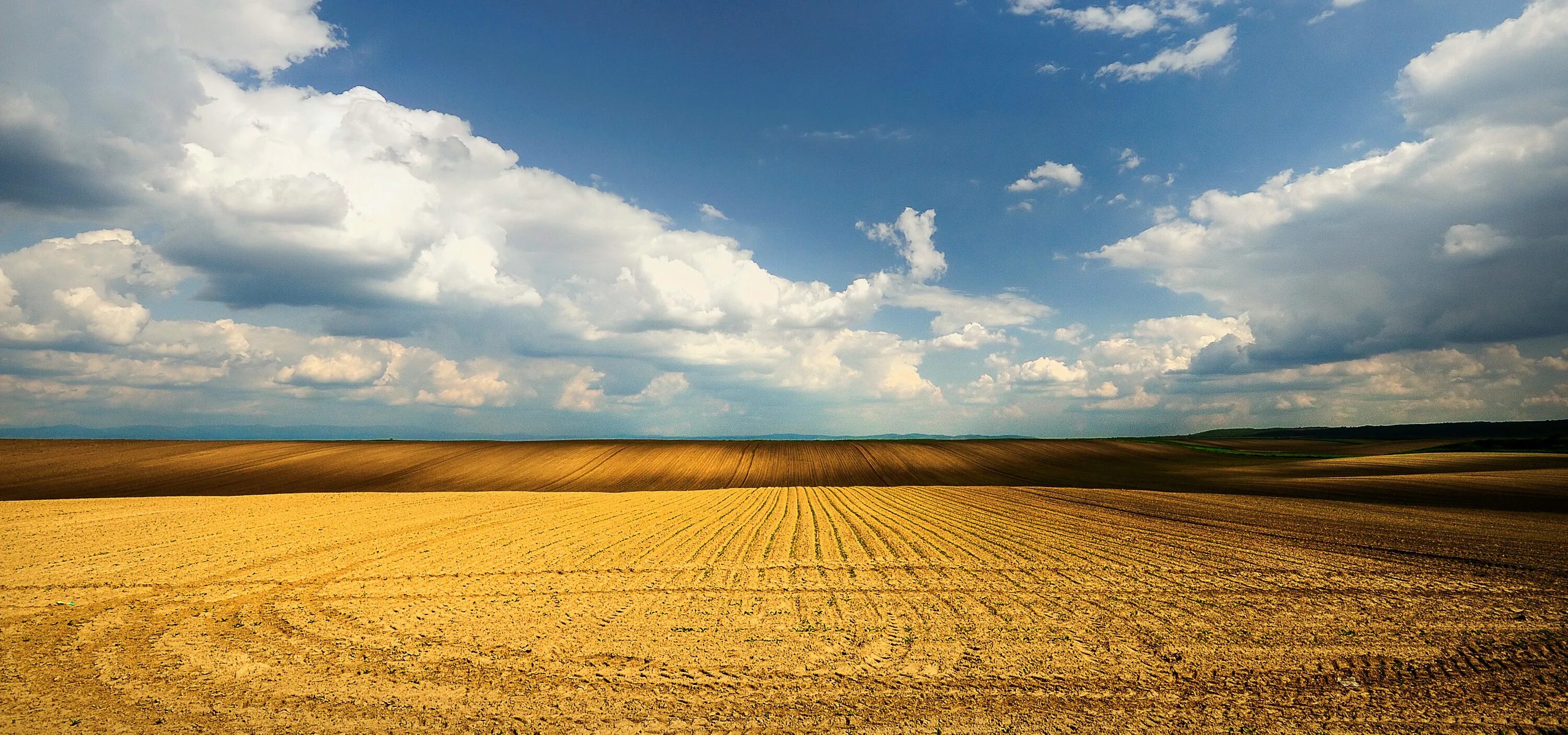 Что нашлось горизонт. Линия горизонта. песочная равнина. степь песок. песчаное поле.