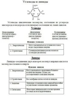 Углеводы свойства и примеры