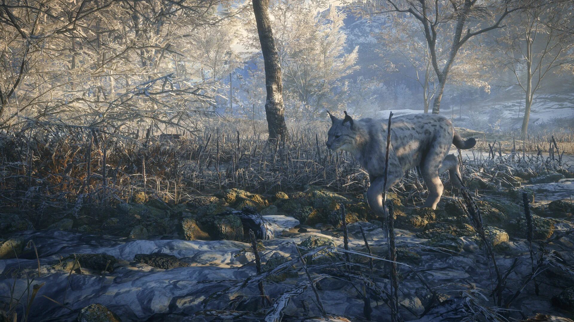 Хантер лес. The Hunter Call of the Wild. The Hunter Call of the Wild Тайга. THEHUNTER: Call of the Wild™ - Medved-Taiga. The Hunter Call of the Wild Medved-Taiga.