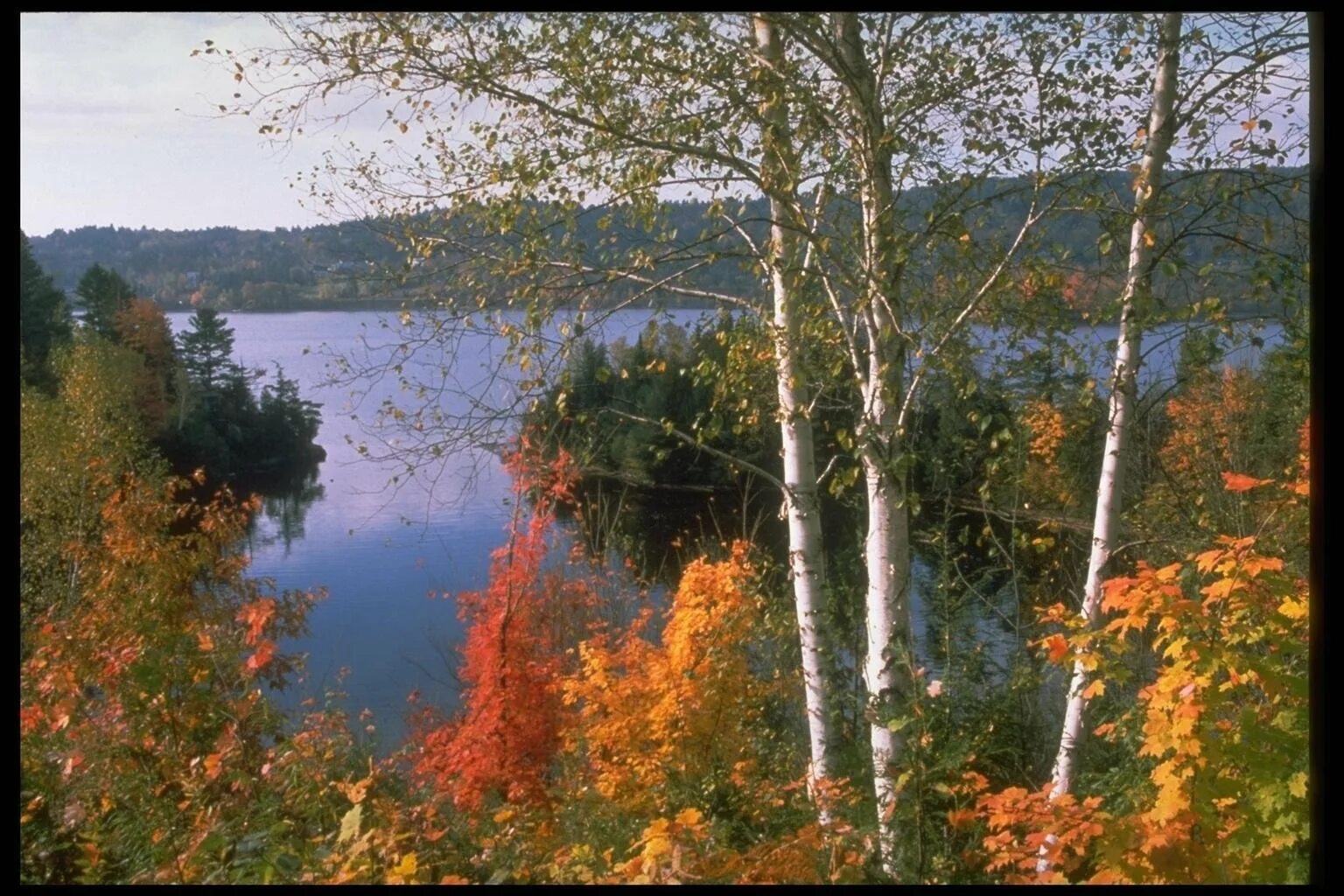 Вода родной край. Красота родного края. Природа нашего края. Красота родной природы фотографии. Разнообразие нашего края картинка.