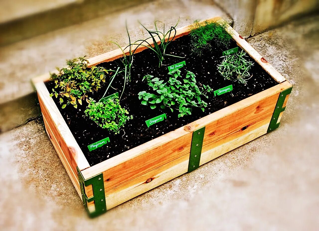 Планировка огорода. Многоярусная грядка для зелени. Грядка часы работы. Высокие деревянные грядки. Умные грядки лядова.