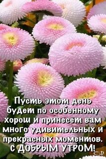 Хорошие слова цветками