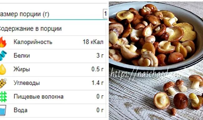 Грибы маринованные калорийность на 100 грамм. Калорийность маринованных грибов маслят. Маслята калорийность на 100. Калории в грибах маринованных. Сколько белков в белом грибе