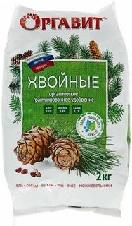Хвоя 2