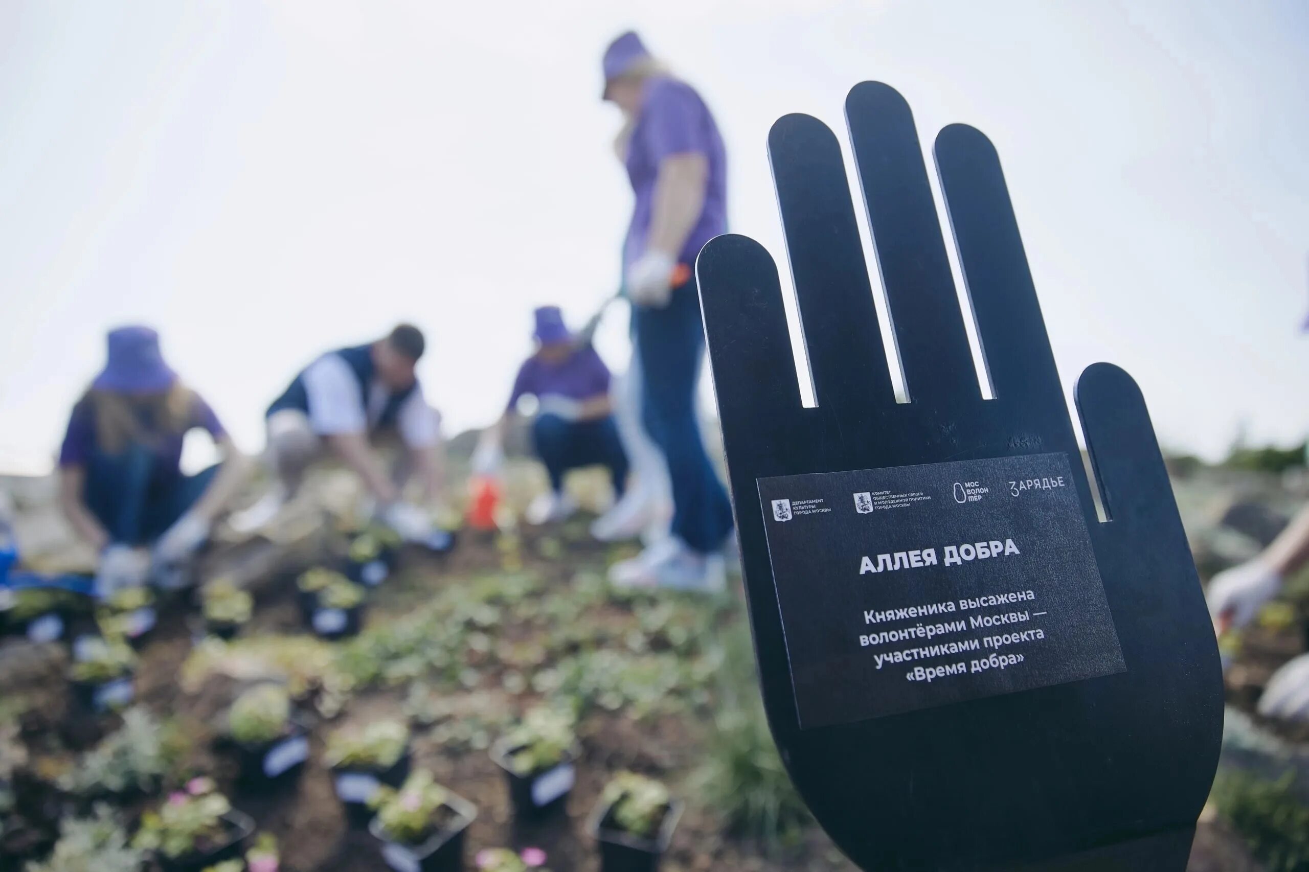 Ано аллея доброты. План субботника в организации. Аллея добра. Акция по высадке цветов. Акция по высадке цветов.