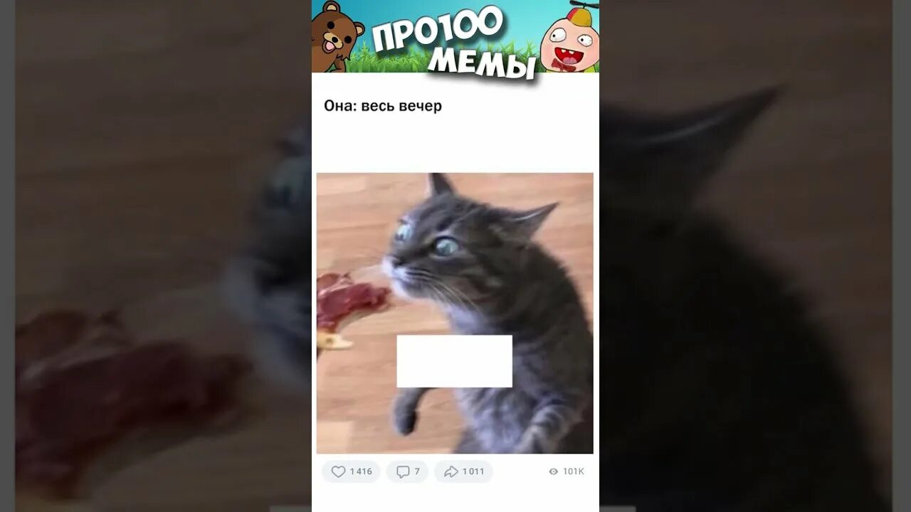 Мемы #котики и #кошки #коты #мем #кот #котик #прикол #приколысживотными