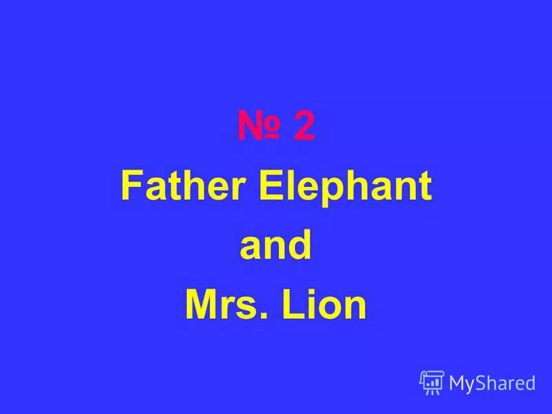 Father elephant