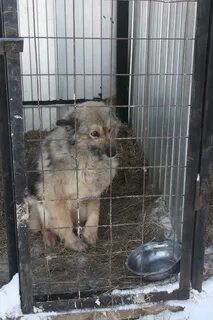 Передержка волгоград