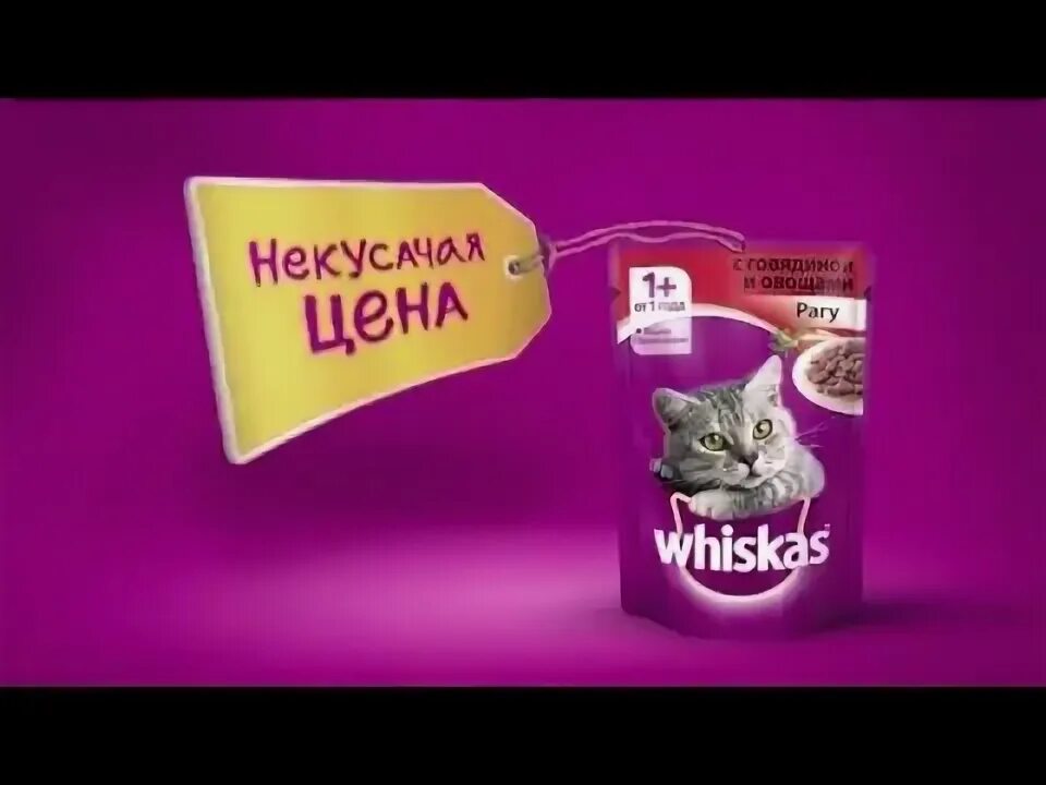 Ваша купила бы вискас. Реклама корма вискас. корм кошка whiskas реклама. реклама вискас с котенком. whiskas для котят реклама.