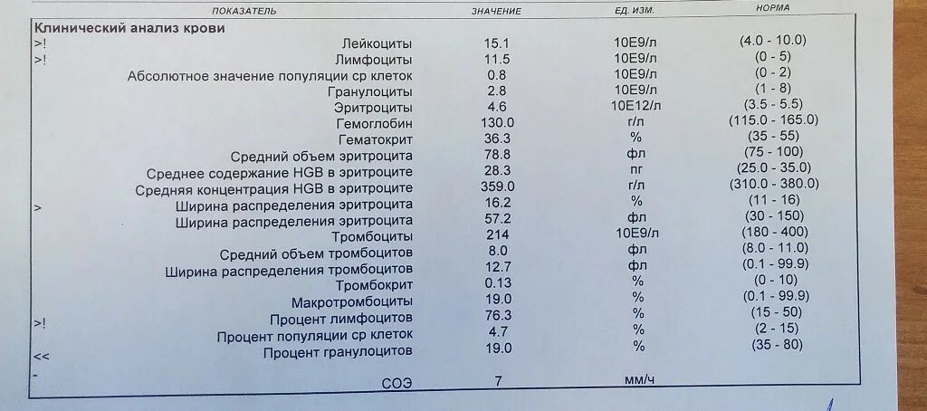 Lym в крови повышены. Анализ крови лимфоциты норма. Анализ крови нейтрофилы лимфоциты норма. Норма лимфоцитов и гранулоцитов. Лимфоциты крови у ребенка 28,6.