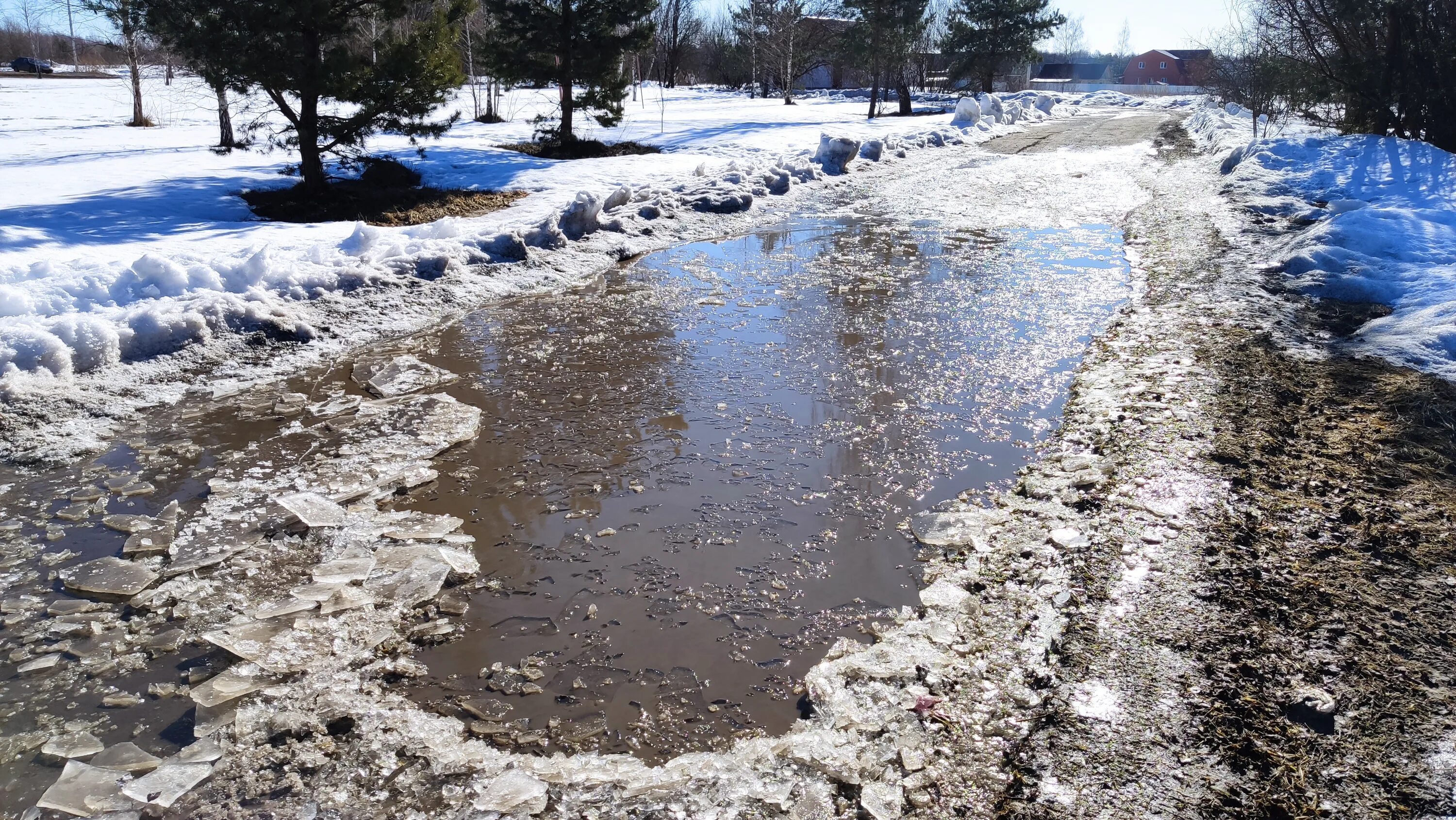 весной рано сходит снег. тает снег бегут ручьи. овраг весной. пошел снег весной. весной рано сходит снег.