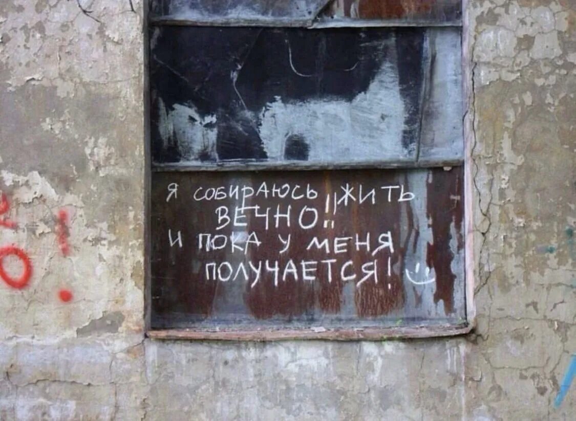 Жить вечно. Собрался жить вечно. Надписи в библиотеке на стенах. Я хочу жить вечно пока получается. Народа будут жить вечно