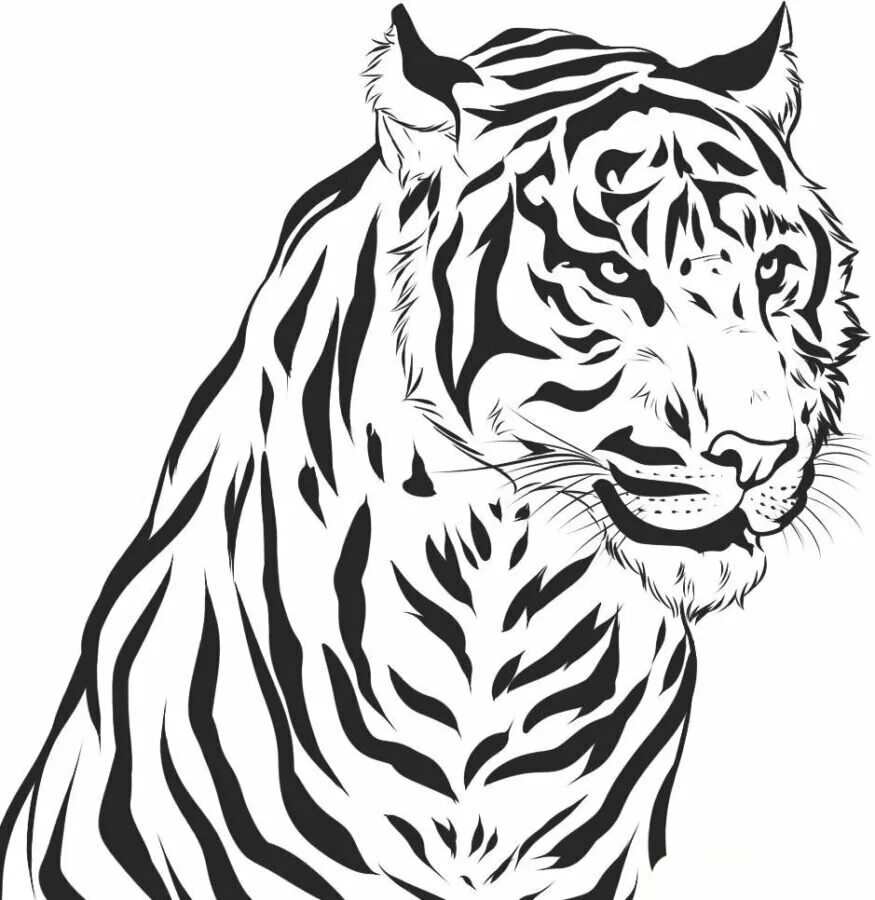 Тигр. Раскраска. Раскраска тигра. Рисунок тигра. Картинки тигров для срисовки. Рисунки в формате jpg