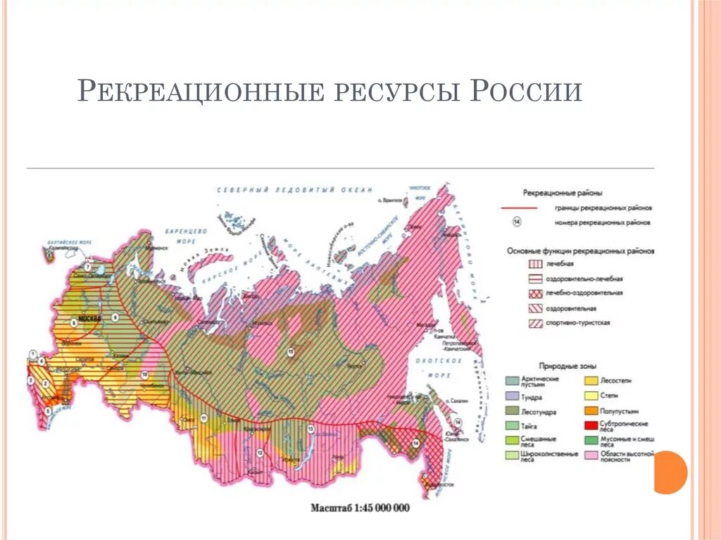 Рекреационное районирование России карта. Рекреационные ресурсы запасы РФ. Рекрационные рецсры Росси. Природные рекреационные ресурсы России. Рекреационные ресурсы россии количество