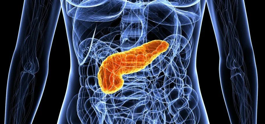 липоматоз питание