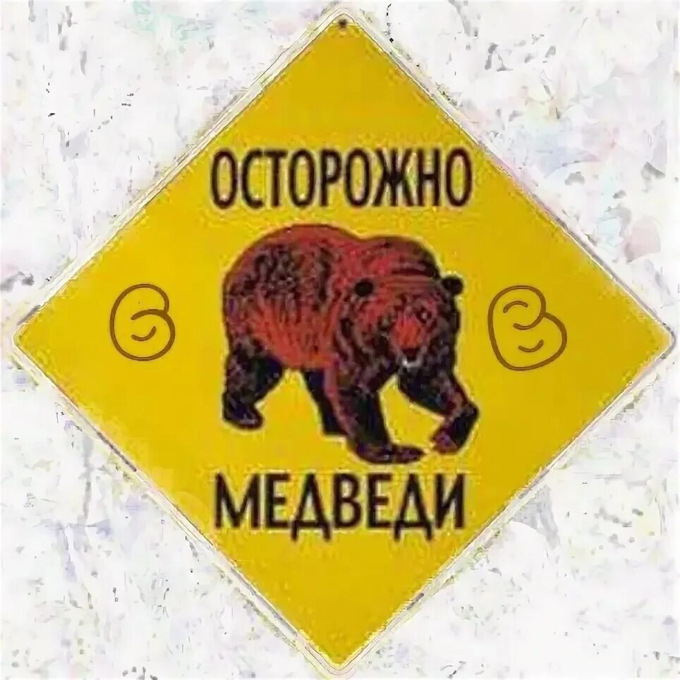Осторожно медвежонок осторожно. Осторожно, медведь!. Осторожно звери. Осторожно, медведь!. Осторожно медвежонок осторожно.